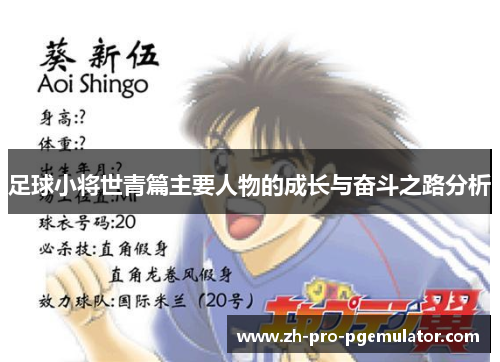 足球小将世青篇主要人物的成长与奋斗之路分析