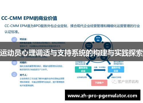 运动员心理调适与支持系统的构建与实践探索