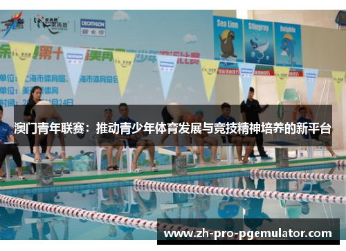 澳门青年联赛：推动青少年体育发展与竞技精神培养的新平台